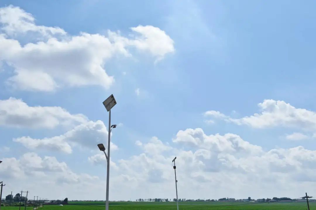1656036823113206.jpg 640 (1).jpg